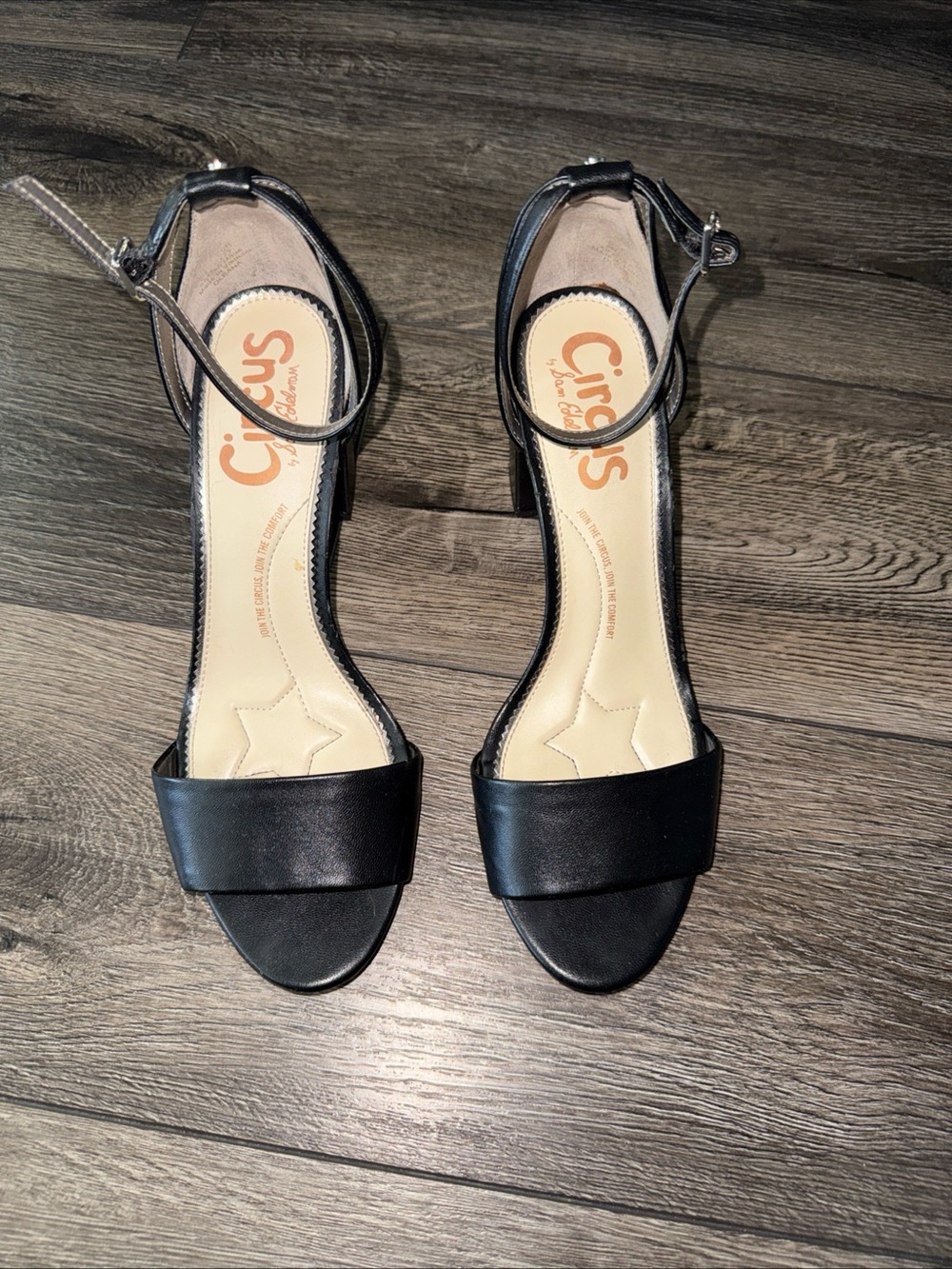 Circus by Sam Edelman DaniellaBlack Ankle-Strap Block Heel Sandals with Open Toe